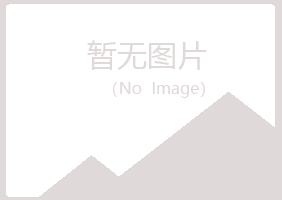 偃师初夏咨询有限公司